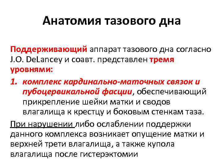 Анатомия тазового дна Поддерживающий аппарат тазового дна согласно J. O. De. Lancey и соавт.