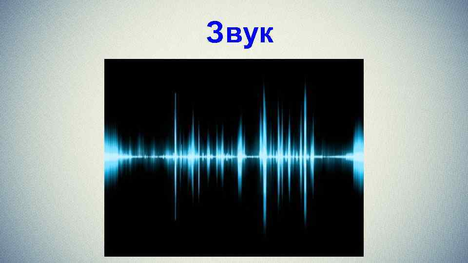 Звук 