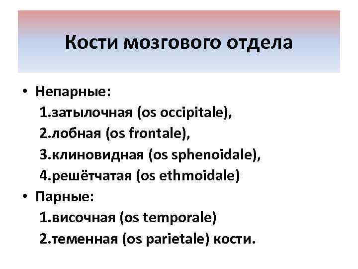 Кости мозгового отдела • Непарные: 1. затылочная (os occipitale), 2. лобная (os frontale), 3.