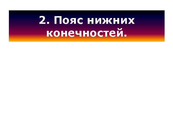 2. Пояс нижних конечностей. 