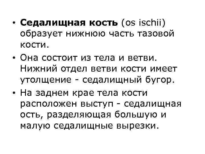  • Седалищная кость (os ischii) образует нижнюю часть тазовой кости. • Она состоит