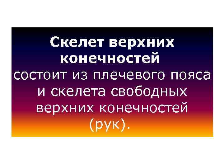 Скелет верхних конечностей состоит из плечевого пояса и скелета свободных верхних конечностей (рук). 