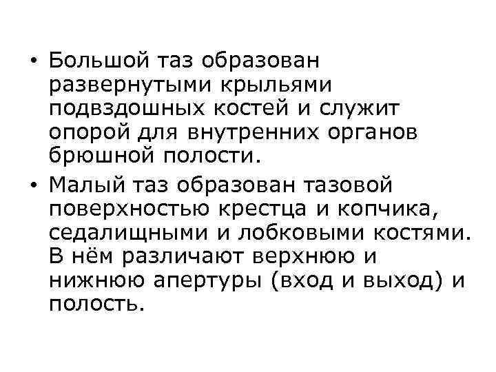  • Большой таз образован развернутыми крыльями подвздошных костей и служит опорой для внутренних