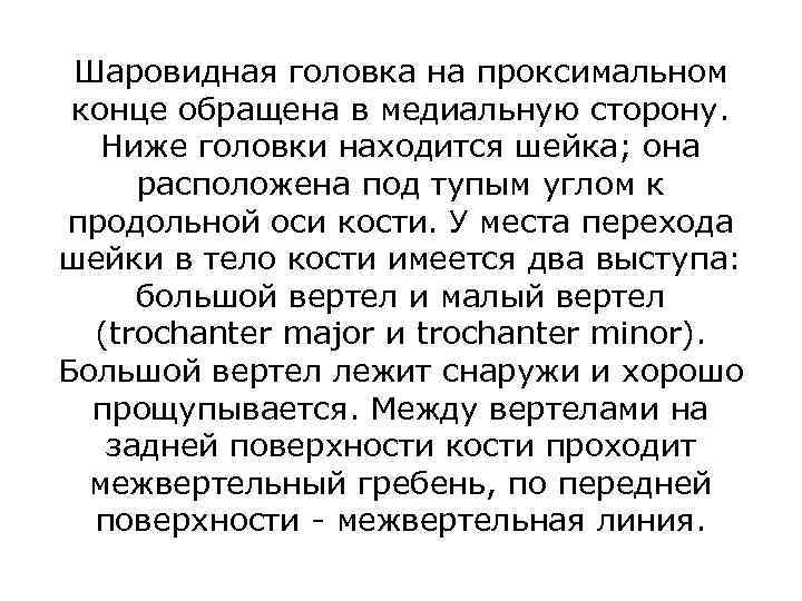 Шаровидная головка на проксимальном конце обращена в медиальную сторону. Ниже головки находится шейка; она