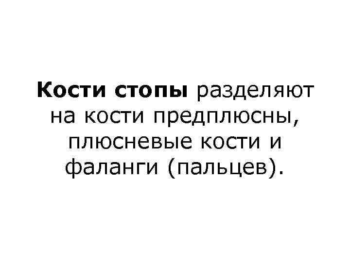 Кости стопы разделяют на кости предплюсны, плюсневые кости и фаланги (пальцев). 