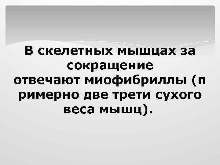 В скелетных мышцах за сокращение отвечают миофибриллы (п римерно две трети сухого веса мышц).