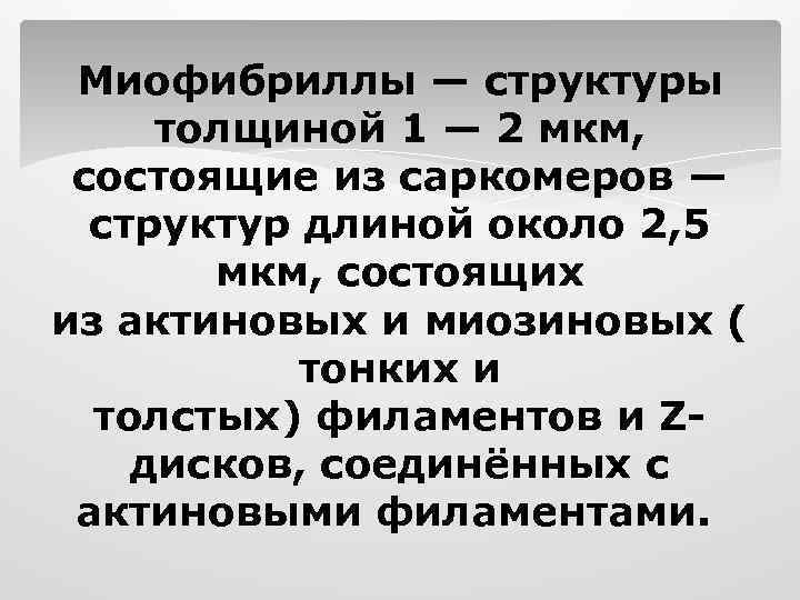 Миофибриллы — структуры толщиной 1 — 2 мкм, состоящие из саркомеров — структур длиной