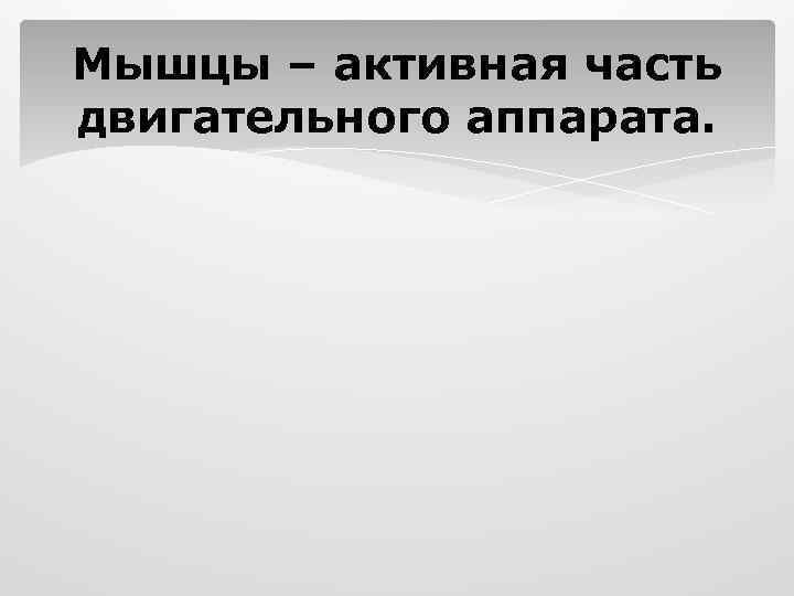 Мышцы – активная часть двигательного аппарата. 