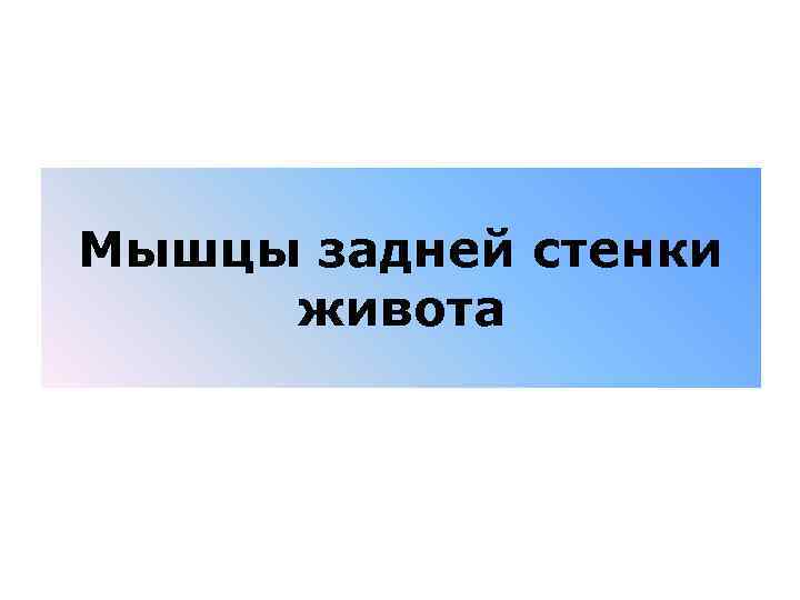 Мышцы задней стенки живота 