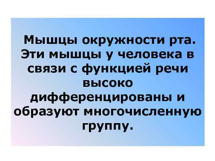  Мышцы окружности рта. Эти мышцы у человека в связи с функцией речи высоко
