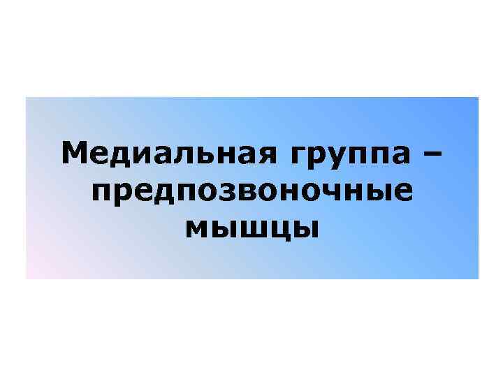 Медиальная группа – предпозвоночные мышцы 