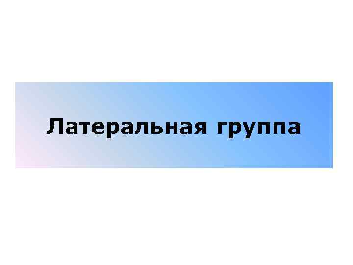 Латеральная группа 