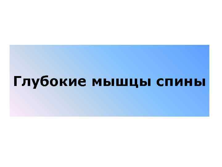 Глубокие мышцы спины 