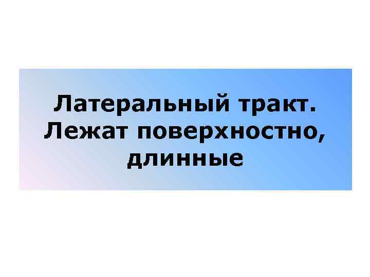 Латеральный тракт. Лежат поверхностно, длинные 