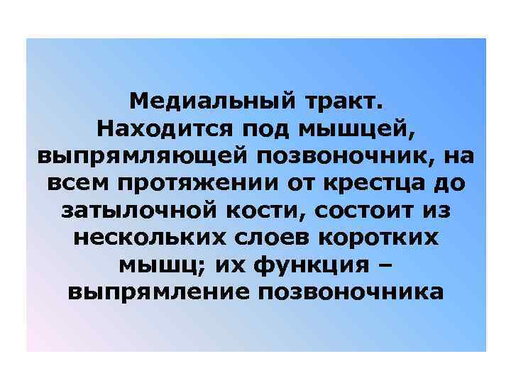 Медиальный тракт. Находится под мышцей, выпрямляющей позвоночник, на всем протяжении от крестца до затылочной