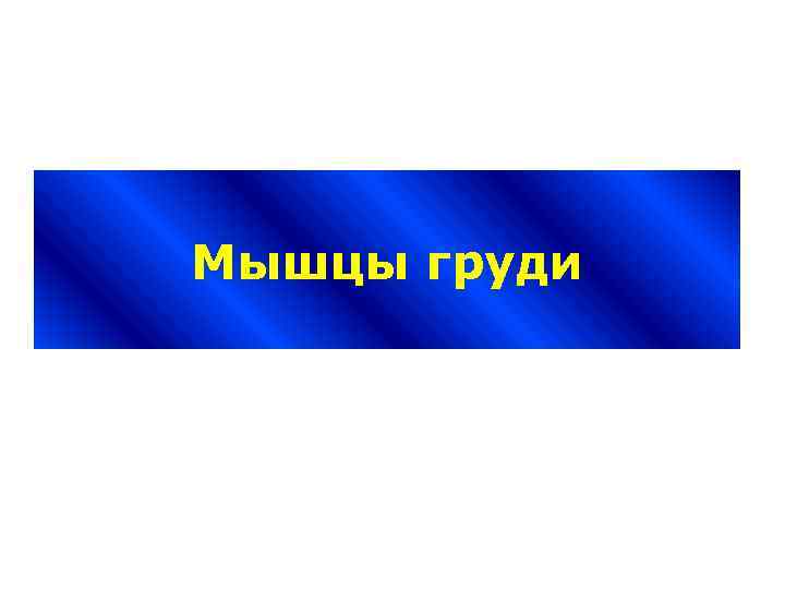 Мышцы груди 