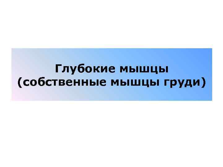 Глубокие мышцы (собственные мышцы груди) 