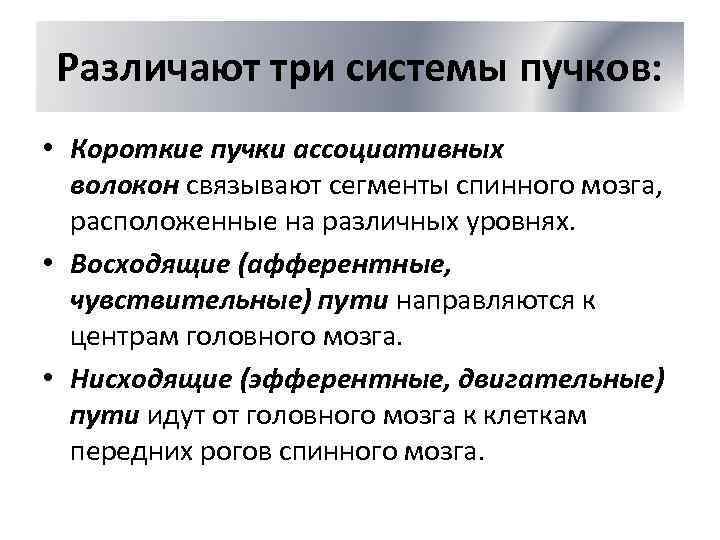 Различают три системы пучков: • Короткие пучки ассоциативных волокон связывают сегменты спинного мозга, расположенные