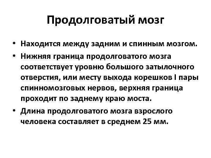 Продолговатый мозг • Находится между задним и спинным мозгом. • Нижняя граница продолговатого мозга