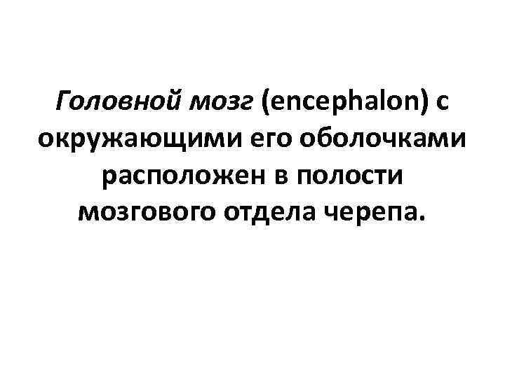 Головной мозг (encephalon) с окружающими его оболочками расположен в полости мозгового отдела черепа. 