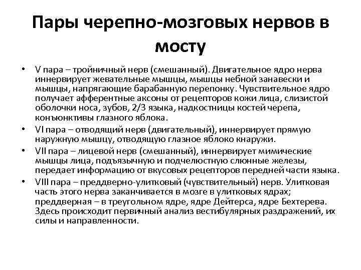 Пары черепно-мозговых нервов в мосту • V пара – тройничный нерв (смешанный). Двигательное ядро