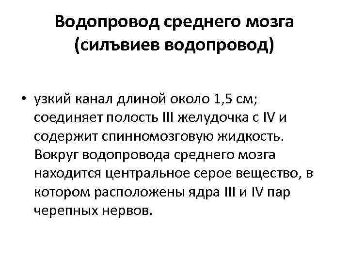 Водопровод среднего мозга (силъвиев водопровод) • узкий канал длиной около 1, 5 см; соединяет