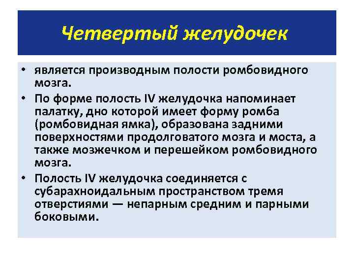 Четвертый желудочек • является производным полости ромбовидного мозга. • По форме полость IV желудочка