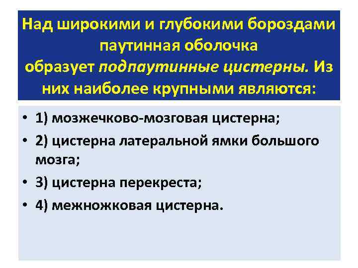 Над широкими и глубокими бороздами паутинная оболочка образует подпаутинные цистерны. Из них наиболее крупными