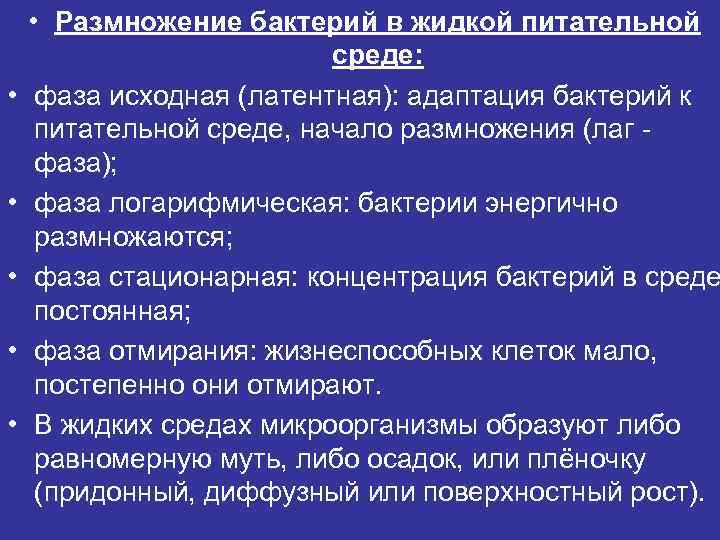  • • • Размножение бактерий в жидкой питательной среде: фаза исходная (латентная): адаптация