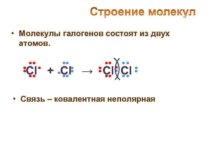  • Молекулы галогенов состоят из двух атомов. Cl + Cl → Cl Cl