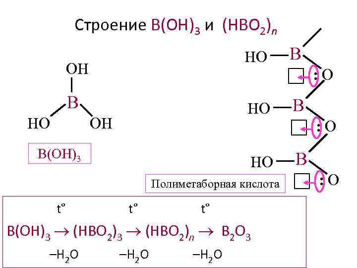 Строение B(OH)3 и (HBO 2)n HO OH : O B HO OH B :