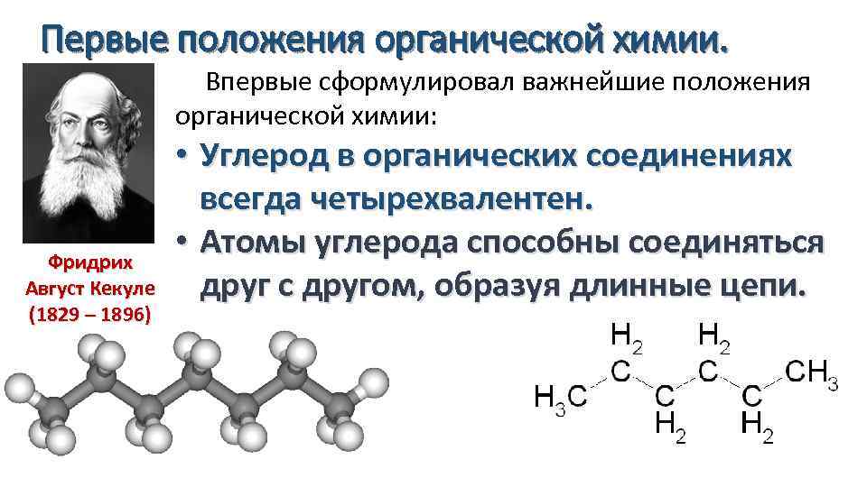 Первые положения органической химии. Впервые сформулировал важнейшие положения органической химии: Фридрих Август Кекуле (1829