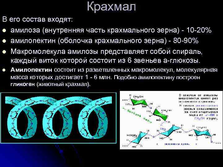 Крахмал В его состав входят: l амилоза (внутренняя часть крахмального зерна) - 10 -20%
