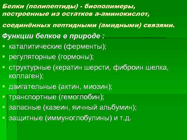 Белки (полипептиды) - биополимеры, построенные из остатков a-аминокислот, соединённых пептидными (амидными) связями. Функции белков