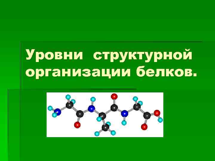 Уровни структурной организации белков. 