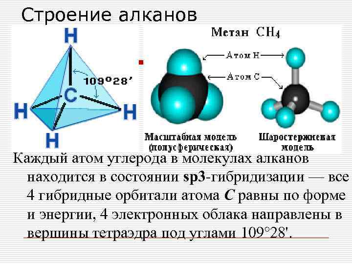 Строение алканов Каждый атом углерода в молекулах алканов находится в состоянии sp 3 -гибридизации