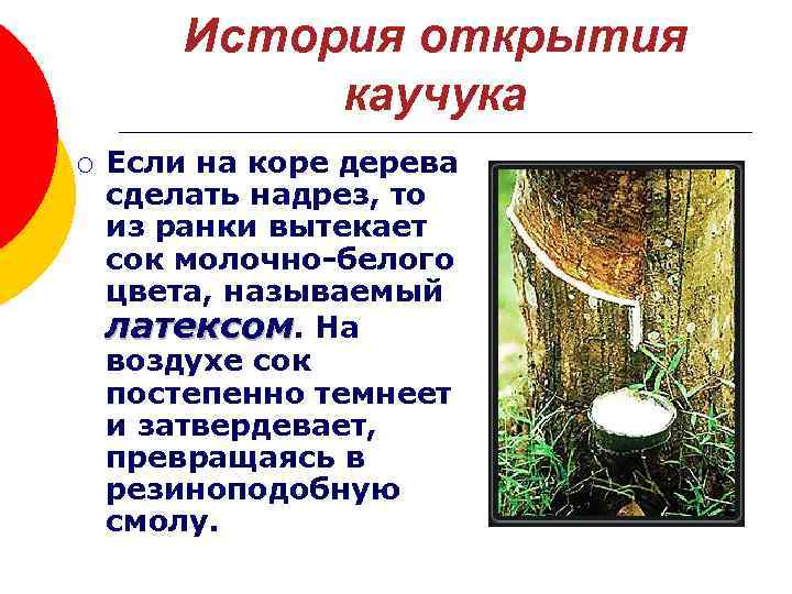 История открытия каучука ¡ Если на коре дерева сделать надрез, то из ранки вытекает