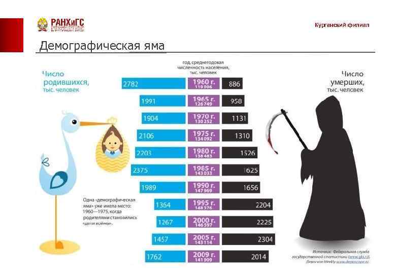 Курганский филиал Демографическая яма 7 