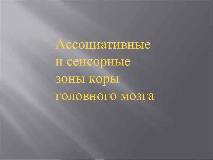 Ассоциативные и сенсорные зоны коры головного мозга 