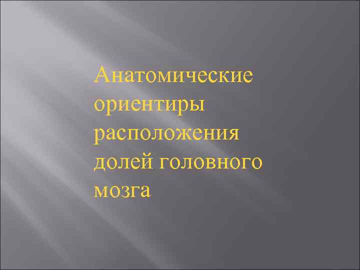 Анатомические ориентиры расположения долей головного мозга 