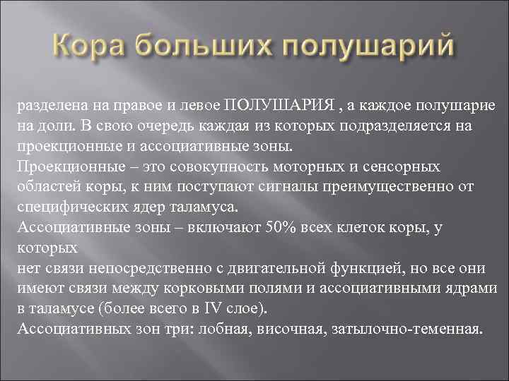 разделена на правое и левое ПОЛУШАРИЯ , а каждое полушарие на доли. В свою