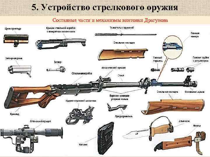 5. Устройство стрелкового оружия Составные части и механизмы винтовки Драгунова 