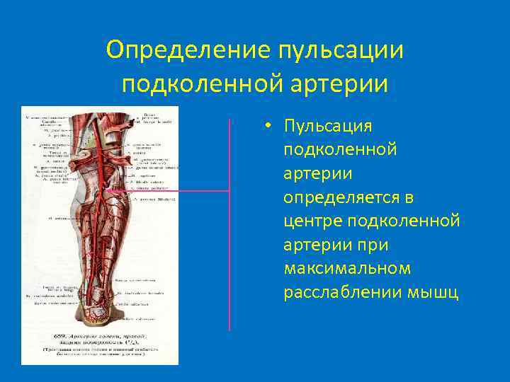 Пульсирующие артерии