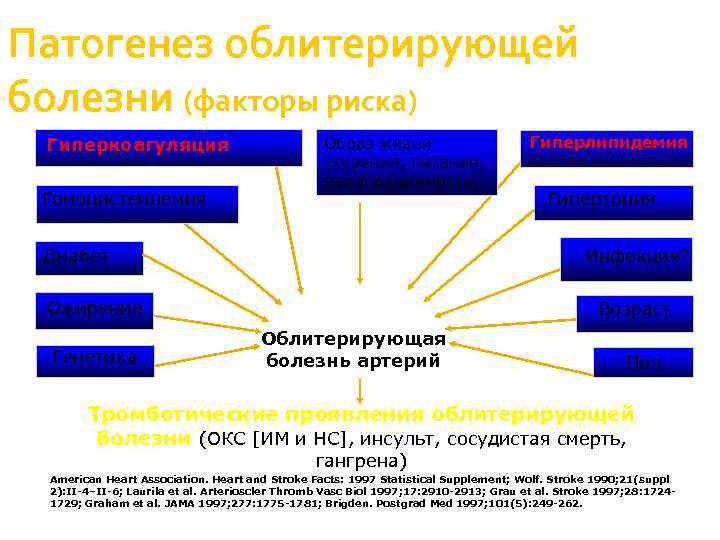 Патогенез облитерирующей болезни (факторы риска) Гиперкоагуляция Гомоцистеинемия Образ жизни (курение, питание, малоподвижность) Гипертония Инфекция?