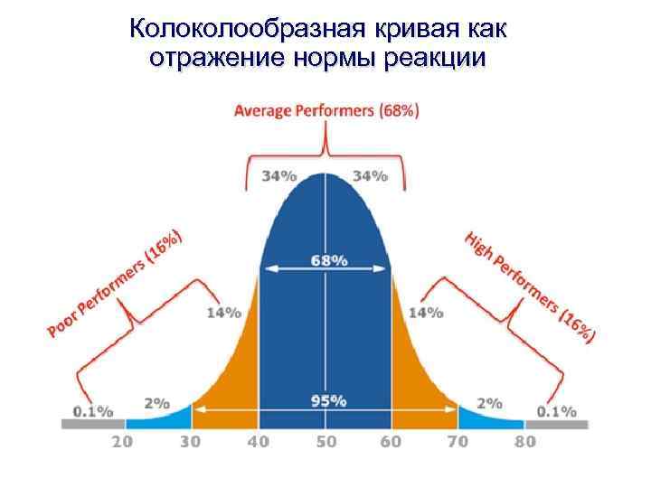 Колоколообразная кривая как отражение нормы реакции 
