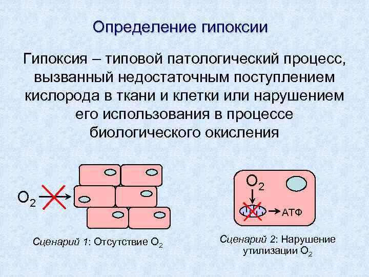Определение гипоксии Гипоксия – типовой патологический процесс, вызванный недостаточным поступлением кислорода в ткани и