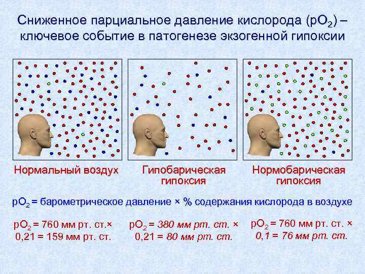 Сниженное парциальное давление кислорода (p. O 2) – ключевое событие в патогенезе экзогенной гипоксии
