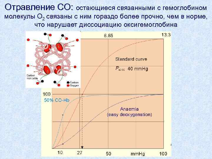 Отравление CO: остающиеся связанными с гемоглобином молекулы O 2 связаны с ним гораздо более