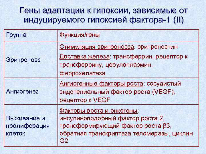 Гены адаптации к гипоксии, зависимые от индуцируемого гипоксией фактора-1 (II) Группа Функция/гены Стимуляция эритропоэза: