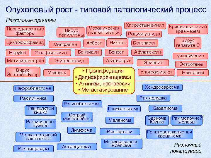 Опухолевый рост - типовой патологический процесс Различные причины Механическая Вирус папилломы травматизация Наследственные факторы